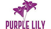 purplelily 1